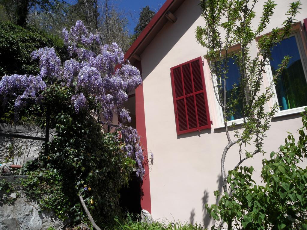 Chambres D'Hotes Casa Sylvana Saint-Dalmas-de-Tende Eksteriør billede